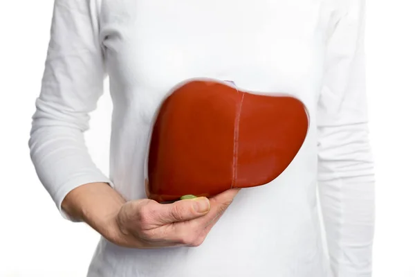 Woman holding human liver model at white body — Stock Photo, Image