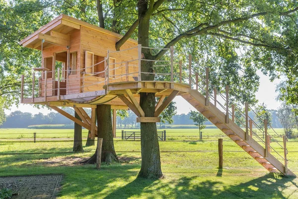 Wooden tree house in oak tree with grass — Stock Photo, Image