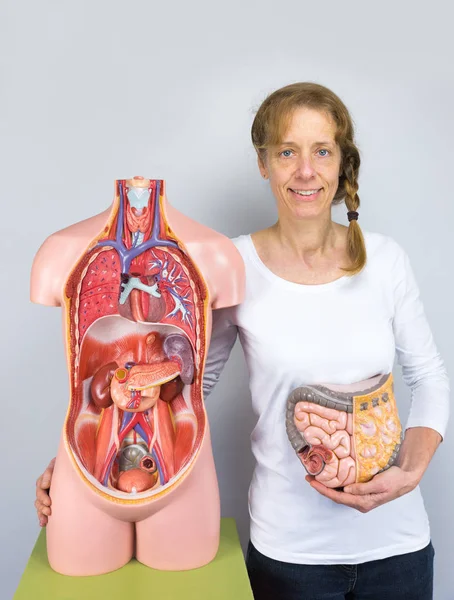 Woman showing intestines model and human body — Stock Photo, Image