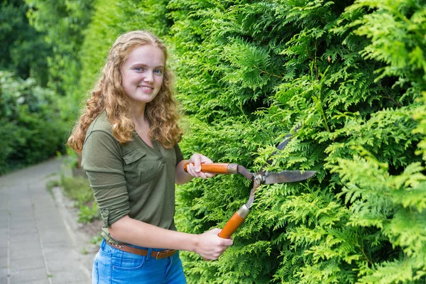 Fiatal holland nő metszés fedezeti a sövénynyíró olló — Stock Fotó