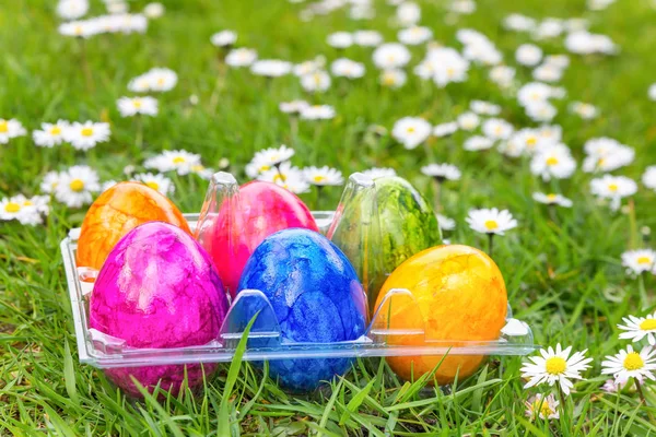 Colorful painted easter eggs in grass with daisies — Stock Photo, Image