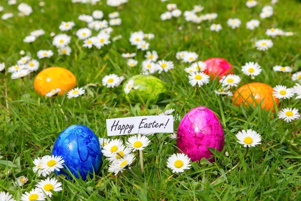 Painted Easter eggs in grass with white daisies — Stock Photo, Image
