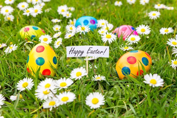 Huevos de Pascua pintados en hierba con margaritas florecientes —  Fotos de Stock