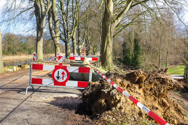 Znaki drogowe problemy ruchu burza uszkodzenia Spasione drzewo — Zdjęcie stockowe