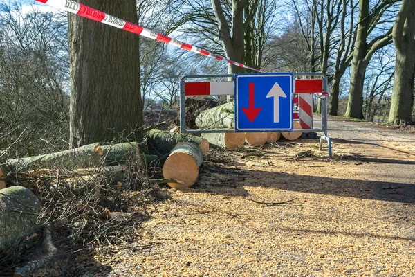 Traffic problems traffic sign storm damage fallen tree — Stock Photo, Image