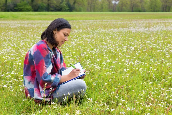 Mujer escribiendo en floreciente prado holandés —  Fotos de Stock