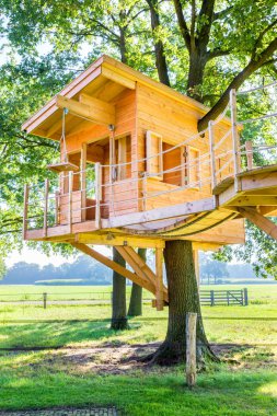 Wooden tree house in oak tree clipart