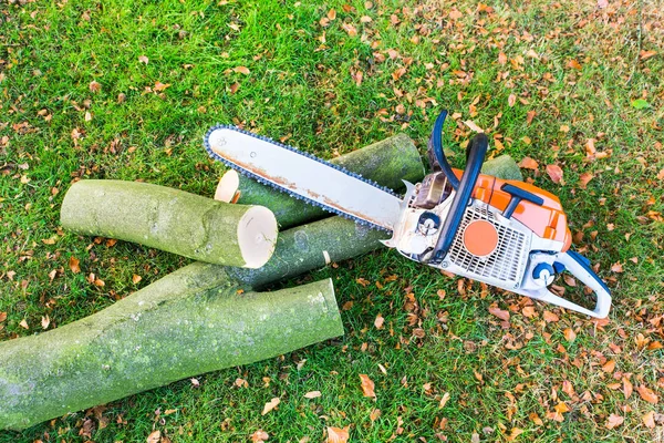 Chain saw with tree trunk or branch — Stock Photo, Image