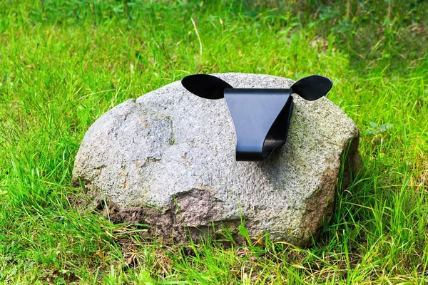 Field boulder as creative sheep artwork — Stock Photo, Image