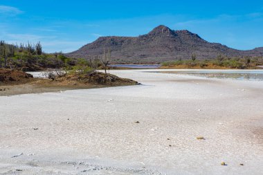 Bonaire 'deki dağlı, tuzlu düz arazi.