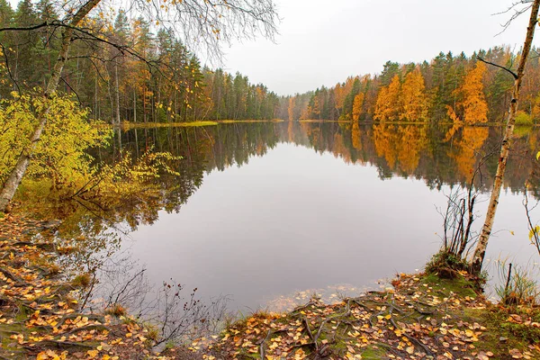 Fińskie jezioro z lustrzanym odbiciem jesienią — Zdjęcie stockowe
