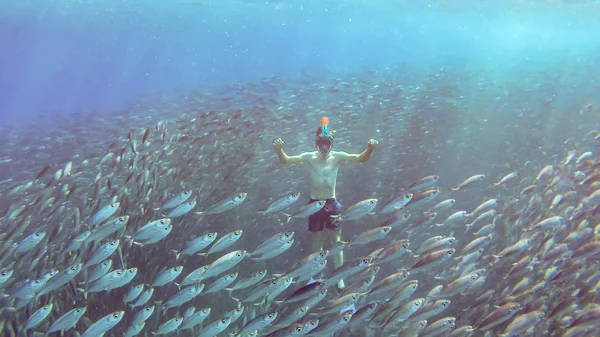 Man swims between million fishes or bait ball — Stock Photo, Image