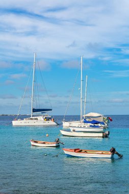 Bonaire sahilinde mavi denizde yüzen bir grup yelkenli.