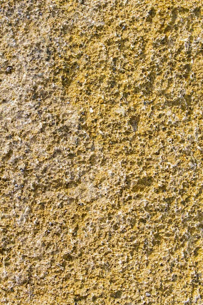 Fossil Petrified Sponge Natural Background — Stock Photo, Image