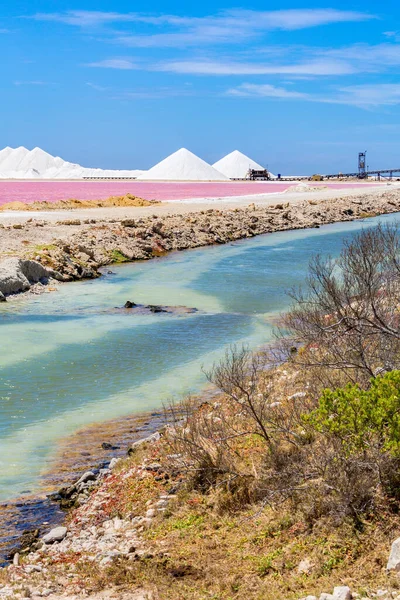 Paisaje Con Agua Rosa Azul Industria Sal Isla Bonaire —  Fotos de Stock