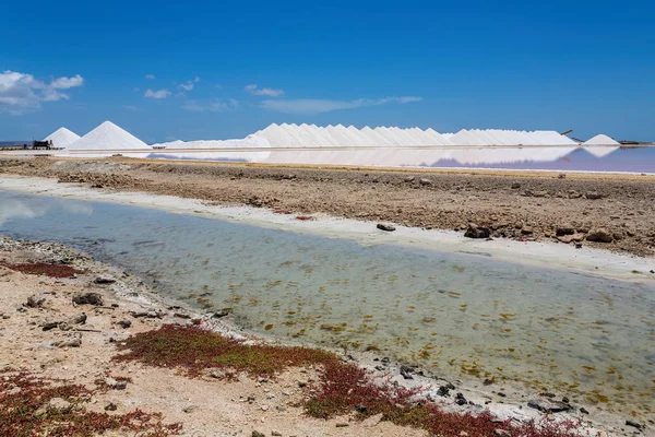 Lago Sal Con Montañas Sal Isla Bonaire —  Fotos de Stock