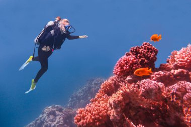 Mercan resifi yakınlarında mavi denizde yüzen kadın dalgıç.
