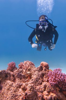 Genç beyaz bir adam pembe mercanla mavi denize dalıyor.