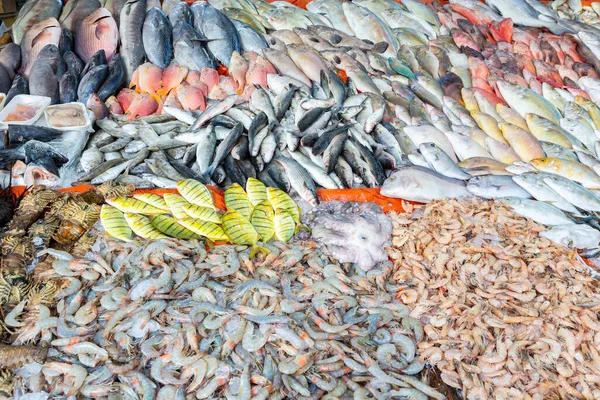 Tas Nombreux Poissons Eau Salée Vendus Sur Marché — Photo