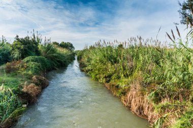 Valencia 'daki Turia nehri, bitki örtüsü ve bulutlu mavi gökyüzü.