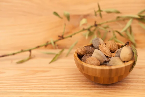 Almendras de concha en cuenco de madera sobre mesa de madera con rama de árbol — Foto de Stock