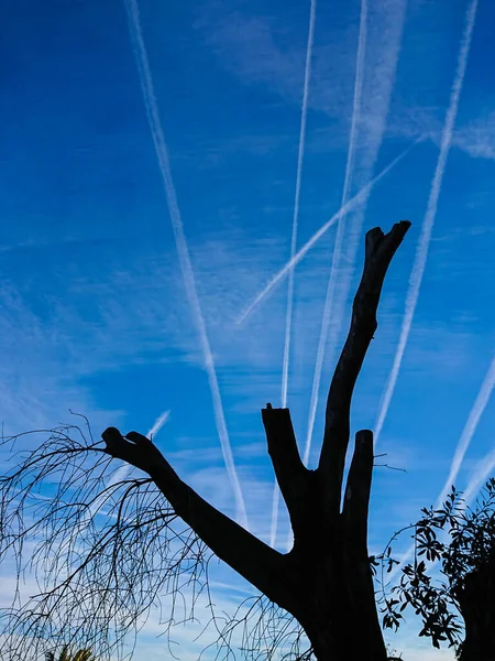 Flugzeug Chemtrails Über Einer Baumsilhouette Blauem Himmel Mit Wolken — Stockfoto