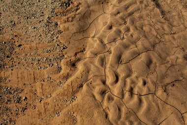 Çöldeki su birikintisi çatlaklarla dolu.