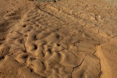 Çöldeki su birikintisi çatlaklarla dolu.