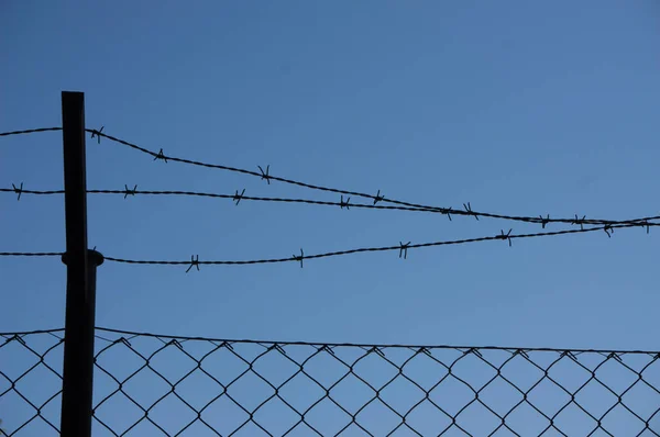 Barbed wire in border with blue sky