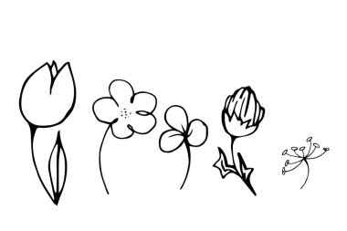 El çizimi çizimi, beyaz arka planda izole edilmiş siyah çiçek çizimi. Güzel bahar bitkisi. Vektör