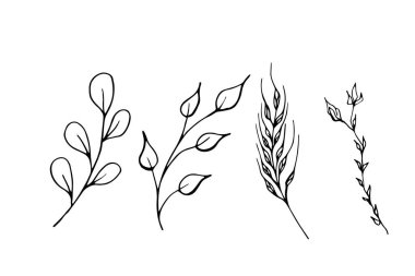 Beyaz arka planda yaprakları ve tomurcukları olan bir dal seti. Vektör karalama çizimi. Robot resim. Satır biçimi