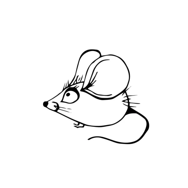 Vector Handgezeichnete Doodle Skizze Schwarze Maus Nette Kleine Maus Isoliert — Stockvektor