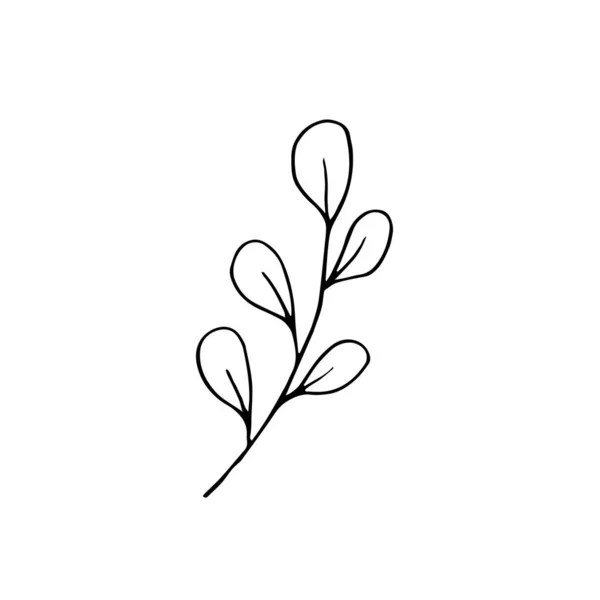 Κλάδος Φύλλα Και Μπουμπούκια Απομονώνονται Λευκό Φόντο Εικονογράφηση Διανυσμάτων Σκίτσο — Διανυσματικό Αρχείο