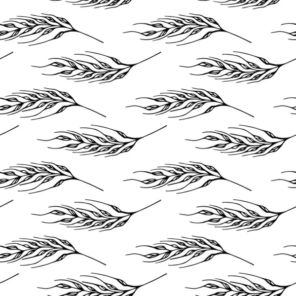 Колоски Безшовний Візерунок Білому Тлі Векторна Ботанічна Ілюстрація Горизонтальний Малюнок — стоковий вектор