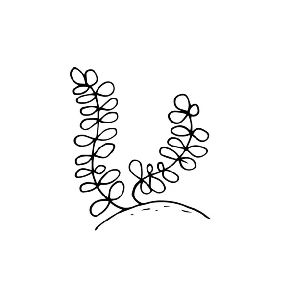 Image Contour Des Algues Des Coraux — Image vectorielle