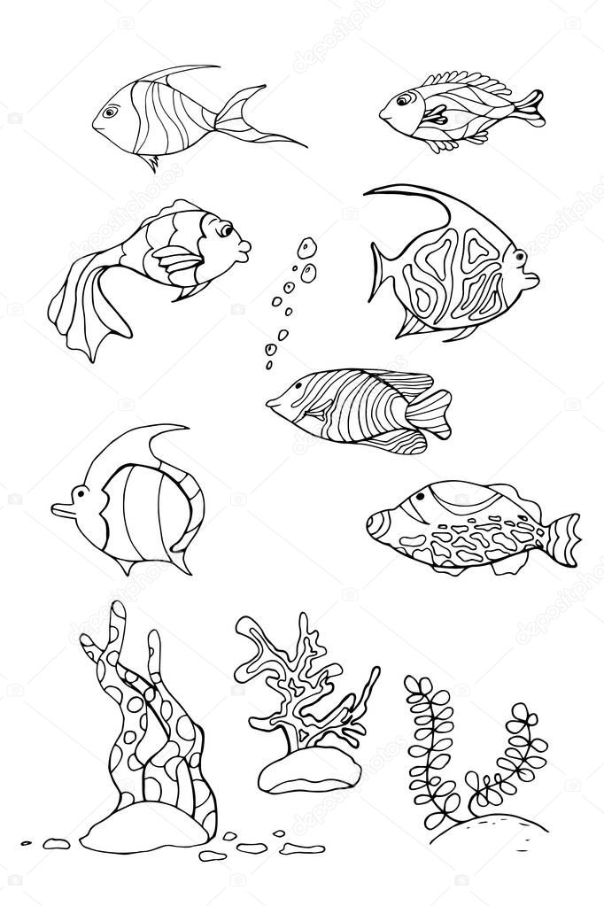 Contour image of fish. Vector fish - coloring. Set.  Diverse ocean inhabitants, For children
