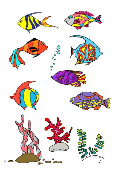 Set Bright Colored Tropical Fish Vector Illustration — Stock Vector