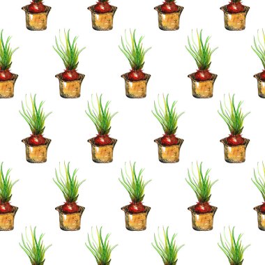 Dik bir kalıpta soğan. suluboya resimleme