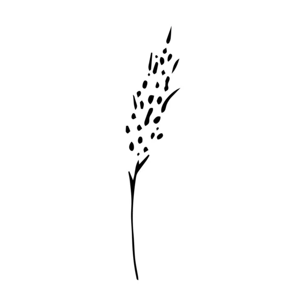 Podepište Ručně Kreslenou Letní Bylinu Květinová Větvička Izolovaná Bílém Pozadí — Stockový vektor