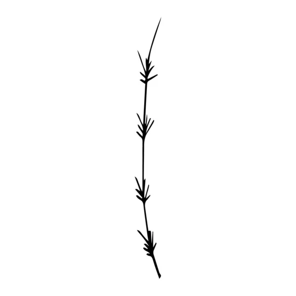 Υπόγραψε Χειροποίητο Καλοκαιρινό Βότανο Λουλούδι Κλαδί Απομονώνονται Λευκό Φόντο Μαύρη — Διανυσματικό Αρχείο