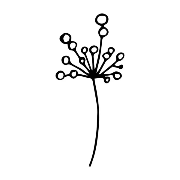 Handgezeichnetes Sommerkraut Unterschreiben Blumenzweig Isoliert Auf Weißem Hintergrund Schwarze Silhouette — Stockvektor