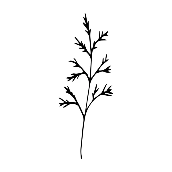 Signe Main Dessinée Herbe Été Brindille Fleur Isolée Sur Fond — Image vectorielle
