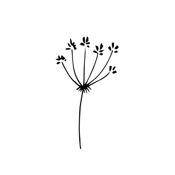 여름용 허브에 꽃가지는 바탕에 고립되어 실루엣이야 결혼식 디자인 카드를 Doodle — 스톡 벡터