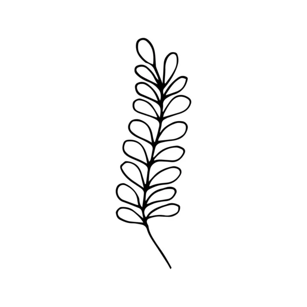 Podepište Ručně Kreslenou Letní Bylinu Květinová Větvička Izolovaná Bílém Pozadí — Stockový vektor