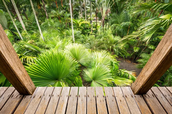 Palm Garden ahşap binaya — Stok fotoğraf