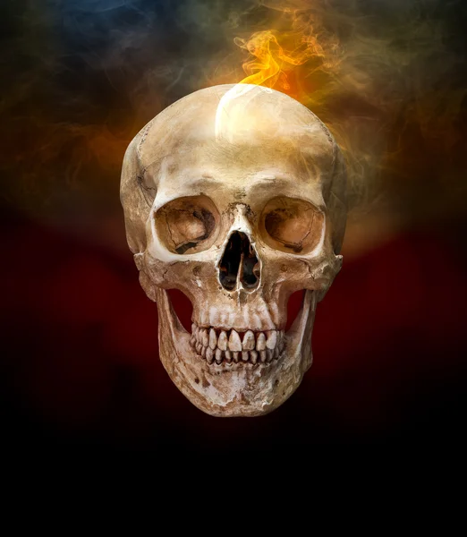 Ludzka czaszka z dymu — Zdjęcie stockowe