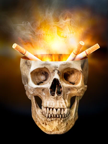 Cigarrillo en el cráneo humano — Foto de Stock