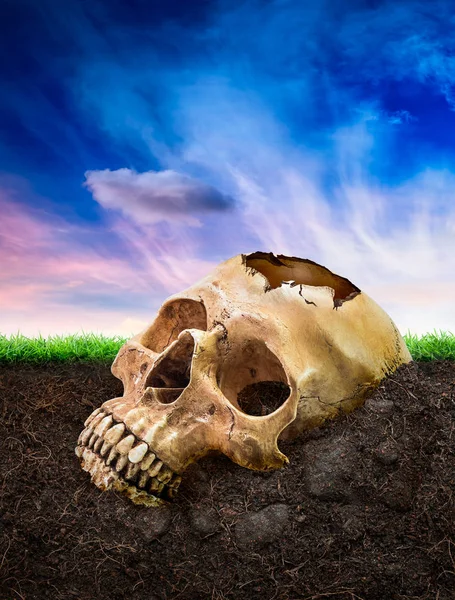 Cráneo humano roto enterrado bajo tierra — Foto de Stock