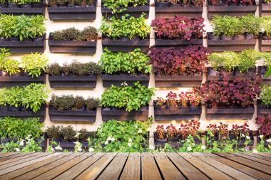 Houseplant pot asılı içinde