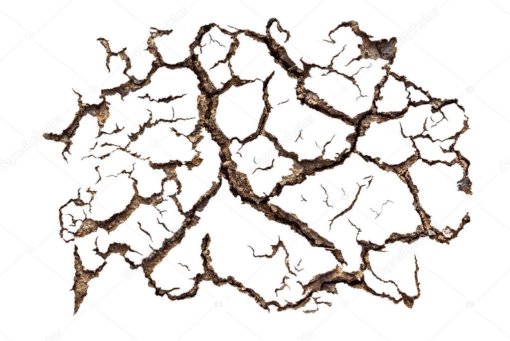 Pattern of cracked soil